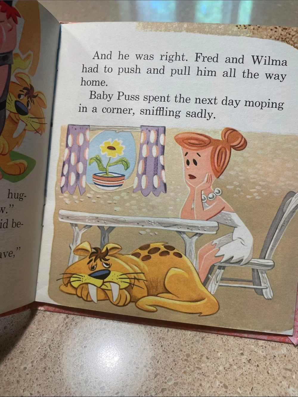 The Flintstones: At the Circus — Kids Book (Pink)